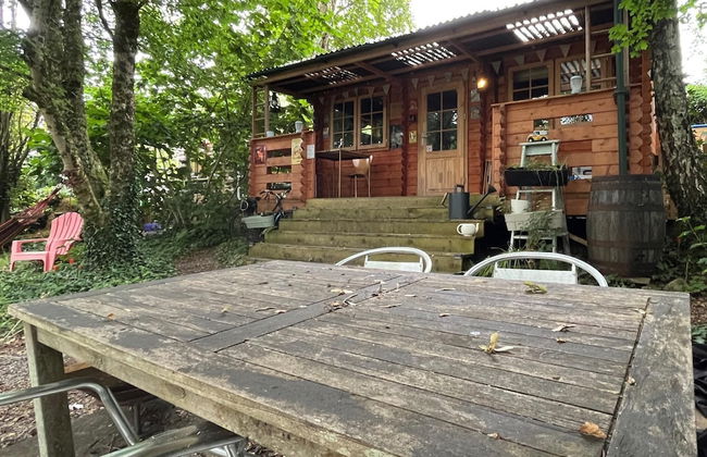 Retro Lodge nr Dartoor With hot tub & opt Sauna - Foto 40