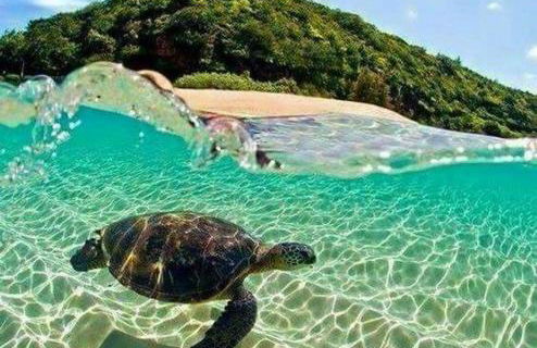 Zante Lagos holiday homes Treehouse and Villa - Foto 65