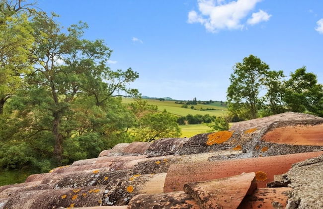 La Tricherie - Foto 37