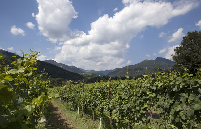 Podere Castel Merlo Resort - Foto 18