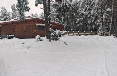 Stajnia Małszewo - Photo 29