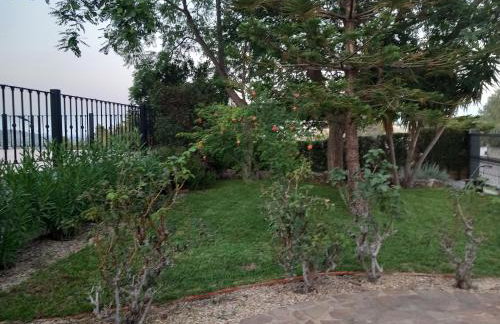 The Villarosa - Photo 40