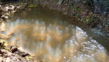 Bangalô dos Araçás - sítio Vô Haack - Foto 3