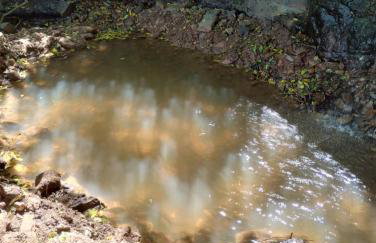 Bangalô dos Araçás - sítio Vô Haack - Foto 3