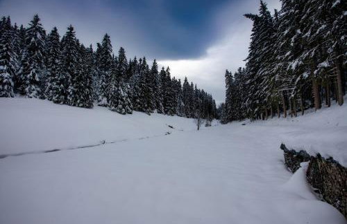 Haus Hubertus - Photo 34