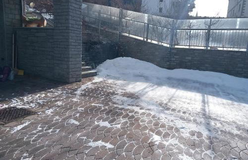 The Green Owl - Foto 11