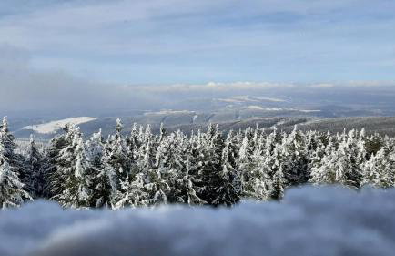 Apartament Hortensjowy Zakątek - Foto 51