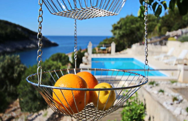 Oasis of Peace - Photo 16