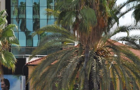 Arkk Homes - Foto 46