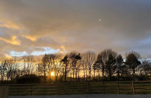 The Shepherd's Hut - Foto 18