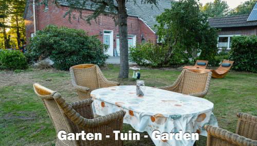 Viking - Photo 3, Garden