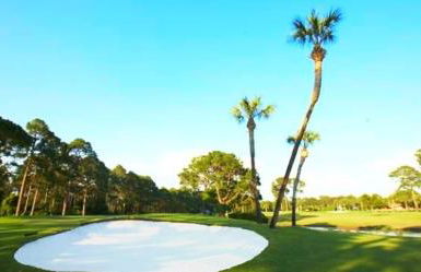 Sea This Way - Foto 27