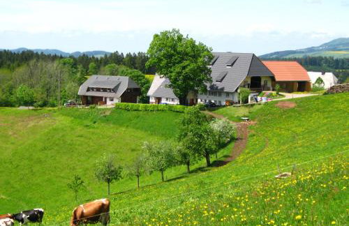 Brosihof - Foto 29