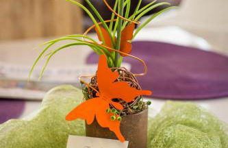 Family Apartments - Photo 1