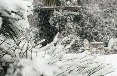 Oak-Island Hall - Foto 26