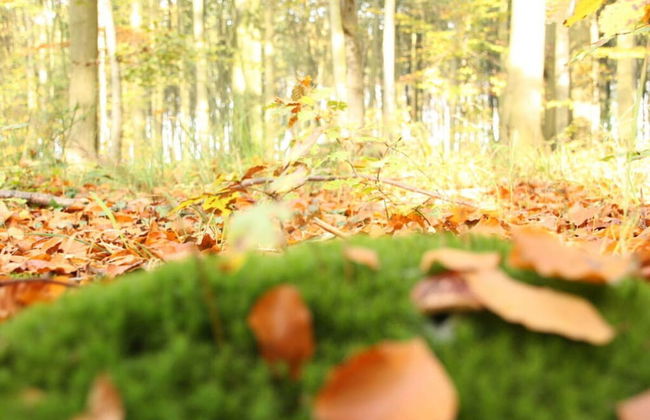 Holiday Apartment Lange - Foto 8