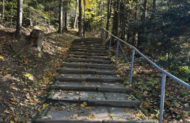 Różany Ogród - Foto 24