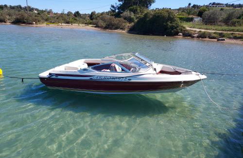 Orange Tree - Foto 48