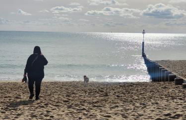 New Forest Bees Holiday Home, Bashley - Foto 14