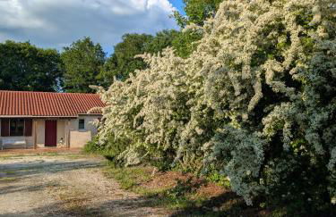 Gite en quercy - Foto 7