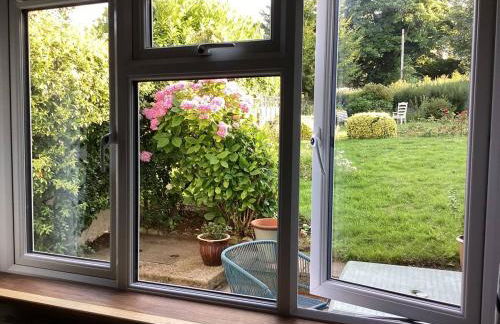 The Hazels - Foto 10