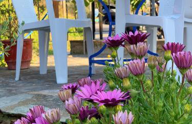 HORTO HOUSE - Foto 8