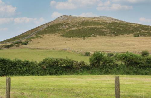 Cae Berllan - Foto 46