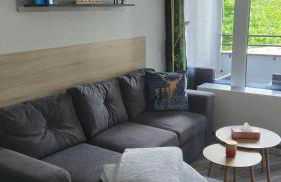 Deluxe Ferienwohnung Winterberg mit private Sauna - Foto 24