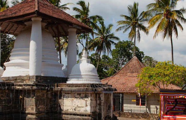 Tour privato dei templi di Kandy - Foto 1