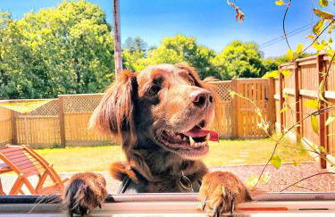 Elmtree Cottage Cardigan - Foto 15