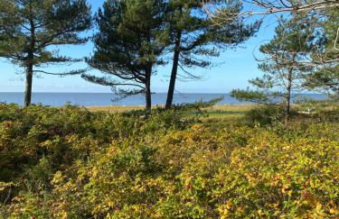 Altes Pastorenhus - Land und Meer - Foto 72