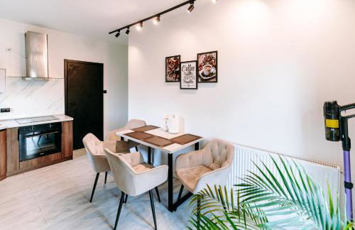 APARTAMENT OGRODOWA premium z ruską banią, kominkiem i oranżerią w centrum - Foto 15