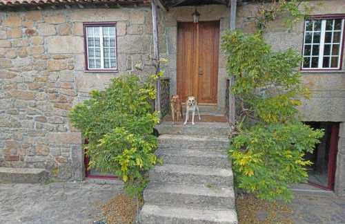 Casa De Vilar do Dão - Foto 36