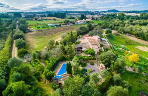 Higo Chumbo - Foto 11