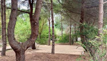 Villa Zen - Foto 2, Garden