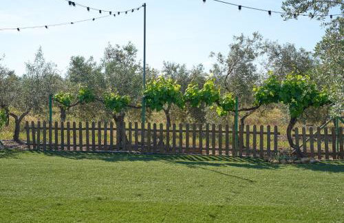 Casa Rural Olivar de la Marquesa - Photo 24