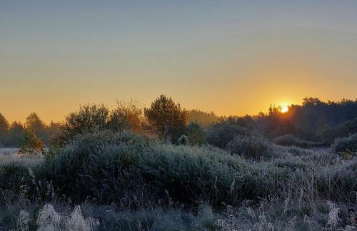 Flora & Sauna Kamieńczyk Konwaliowa 8 - Foto 44