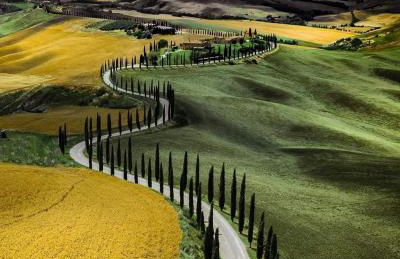 La Fattoria Montalcinello - Foto 59