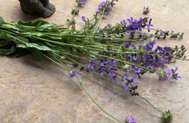 La Pause noble val - Foto 49