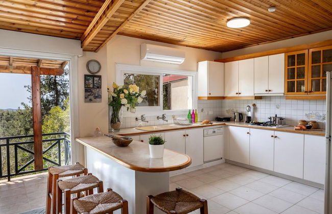 Platres Forest Panorama - Foto 24