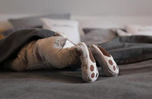 Apartment Appartement in Mastershausen mit Terrasse- Garten und Grill by Interhome - Foto 8