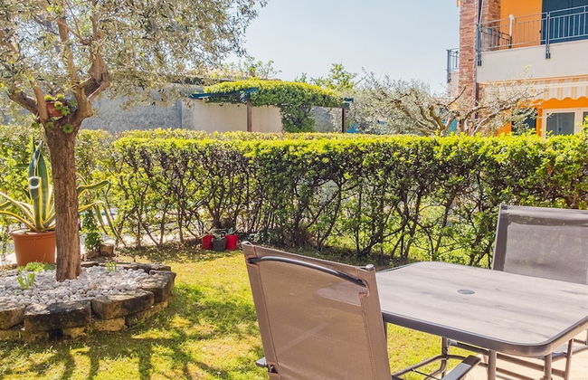 Il Sogno di Vall - Italian Homing - Photo 1