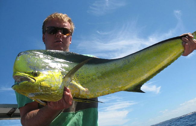 Cabo Beach Villas - Photo 10