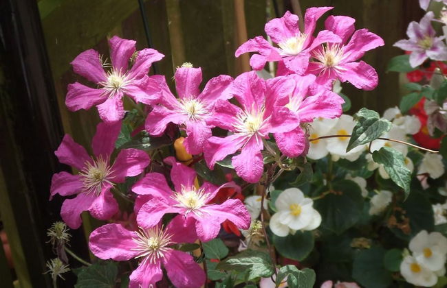 Queens Road Rental - Winchester Accommodation - Foto 25