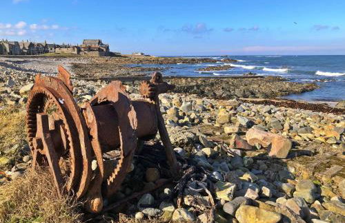 Cotton Shore - Foto 15