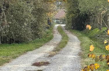 Beinalot Country House - Foto 31