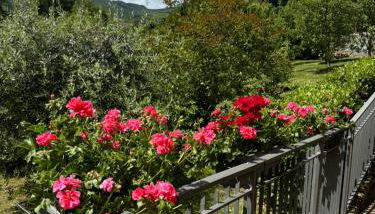 Voce del Casentino - Foto 3