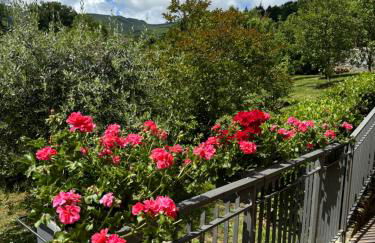 Voce del Casentino - Foto 3