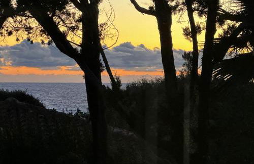 Villa Macalia - Foto 40