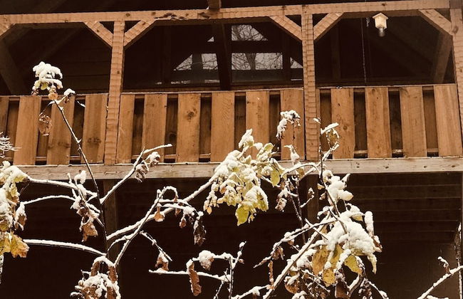 Blessed Nest 1 Bedroom Cabin by RedAwning - Foto 31